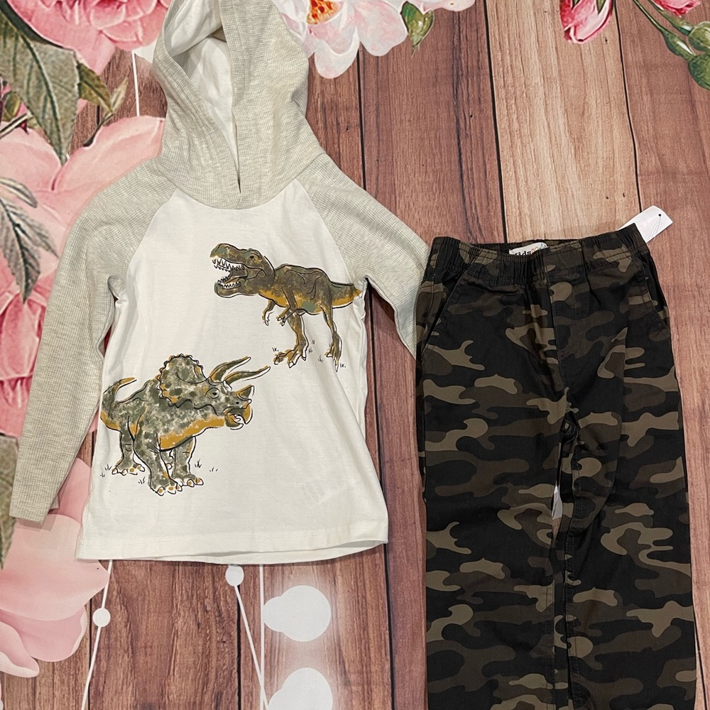 Dinosaur Hoodie and Camo Pants Set